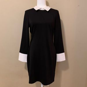 Peter Pan collar dress from, no flaws never worn!